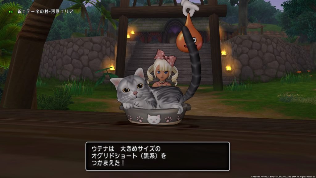 Dqx 報酬はほぼないけど集めると楽しい ネコあつめ コンプリート うてちゃんのゲームブログ