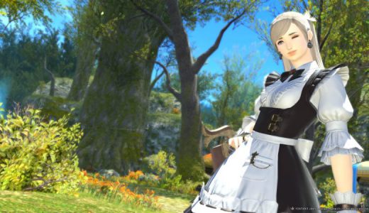 【FF14】キャラメイクで個性的でかわいいキャラを作る方法